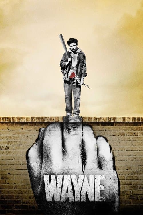 Wayne Season 1 poster