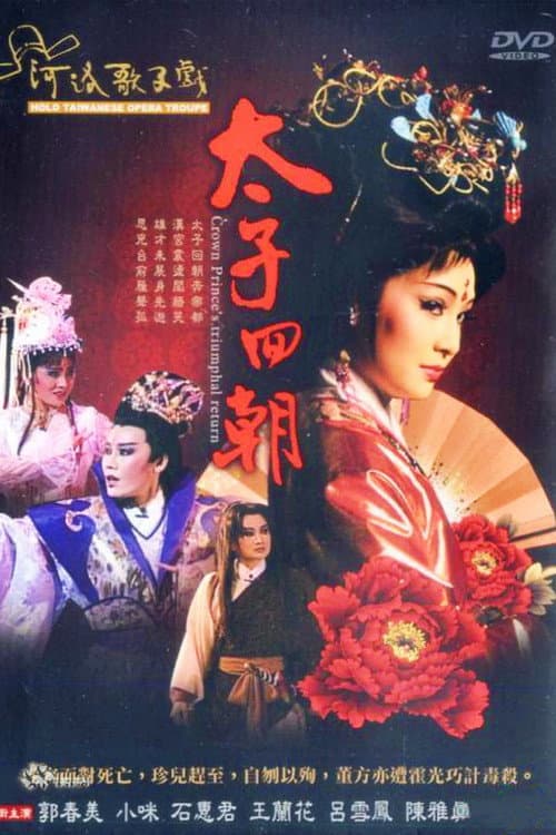 不是電視歌仔戲 Season 1 poster