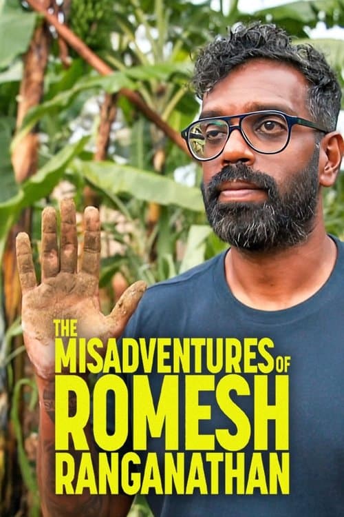 The Misadventures of Romesh Ranganathan Series 2 poster