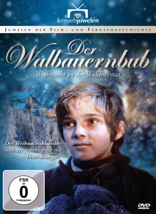Waldheimat Season 3 poster