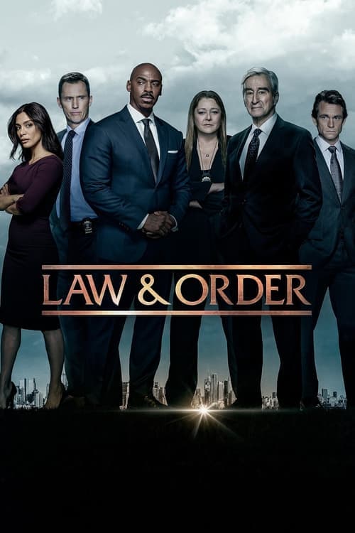Law & Order Season 22 poster