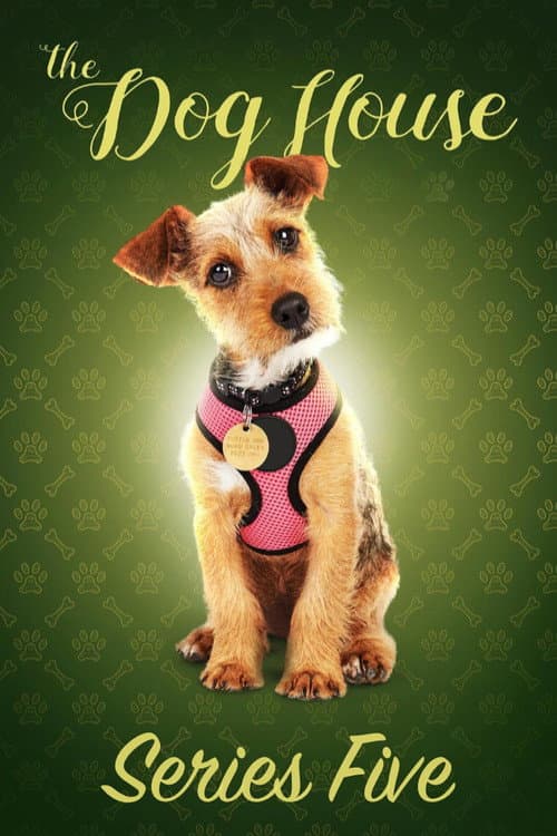 The Dog House Season 5 poster