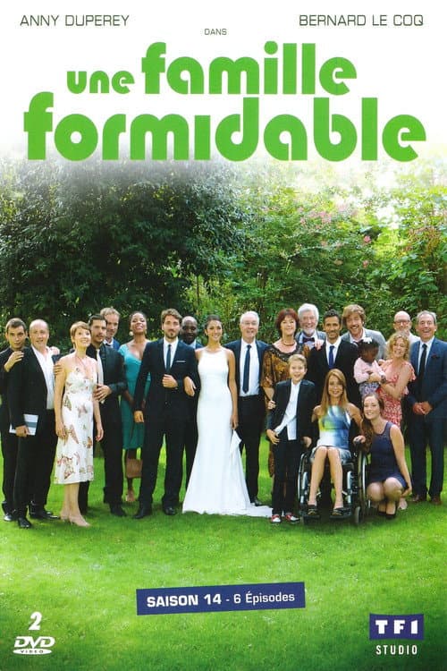 Une famille formidable Season 14 poster