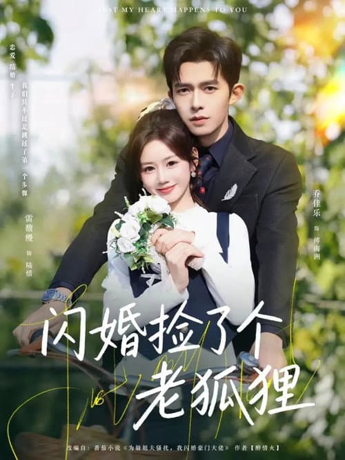 閃婚撿了個老狐狸 Season 1 poster
