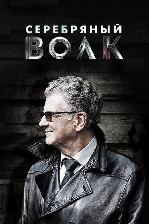 Silver Wolf Season 1 poster