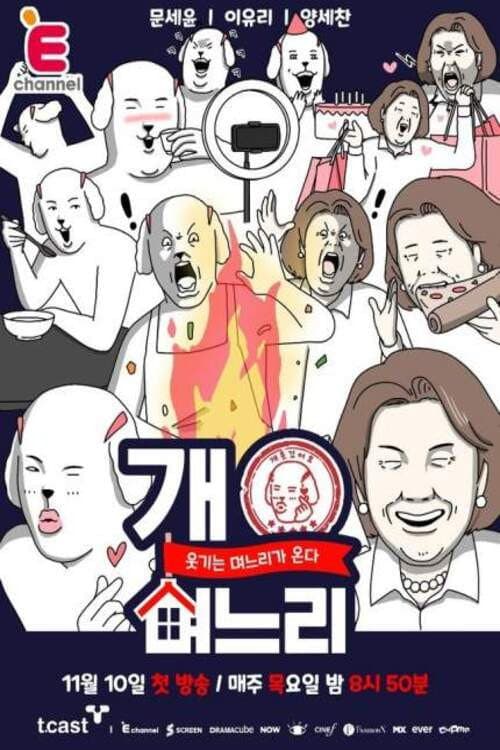 개며느리 Season 1 poster