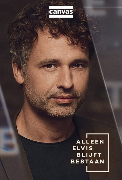 Alleen Elvis blijft bestaan Season 2 poster