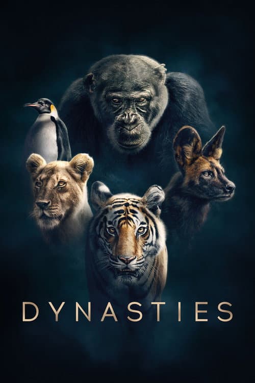 Dynasties Dynasties poster