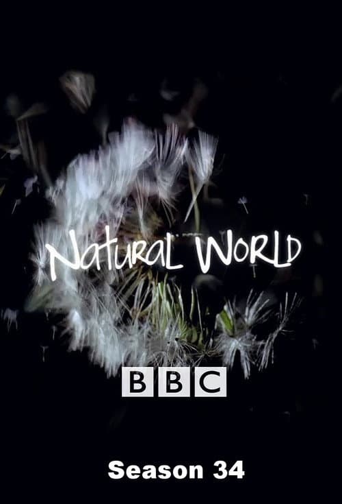 Natural World Season 34 poster