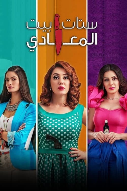 Ladies of Maadi House Season 1 poster