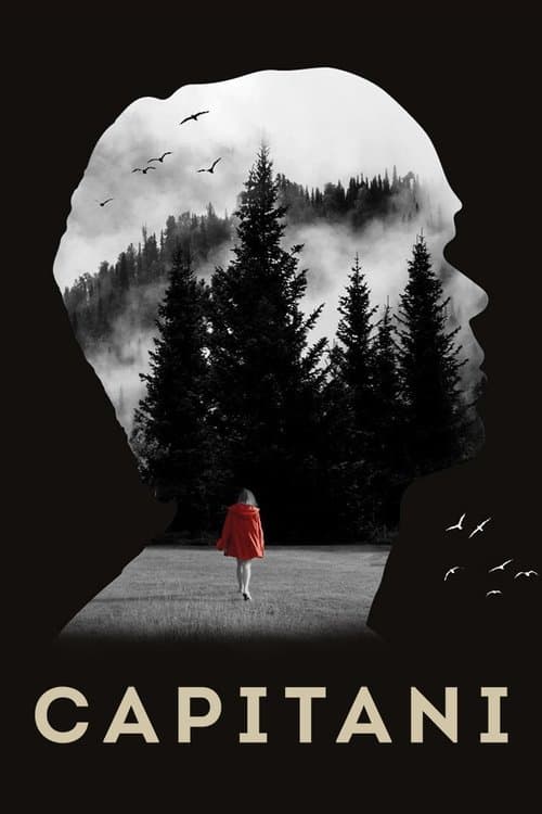 Capitani Season 1 poster
