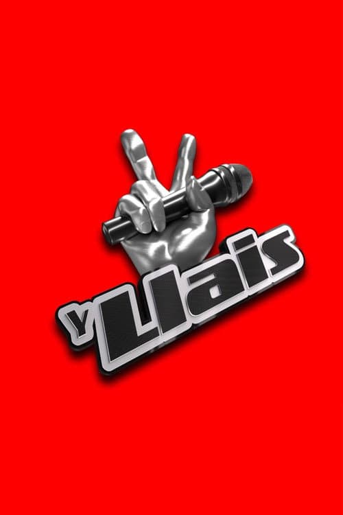 The Voice Season 1 poster