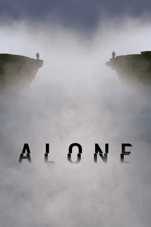 Alone Lost & Found poster