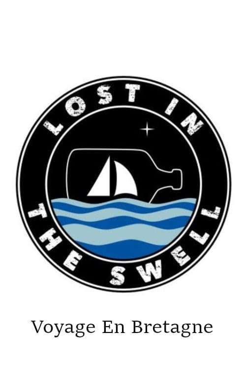 Lost In The Swell Season 2 poster