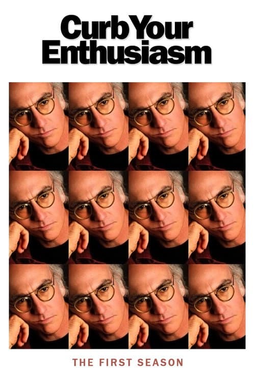 Curb Your Enthusiasm Season 1 poster