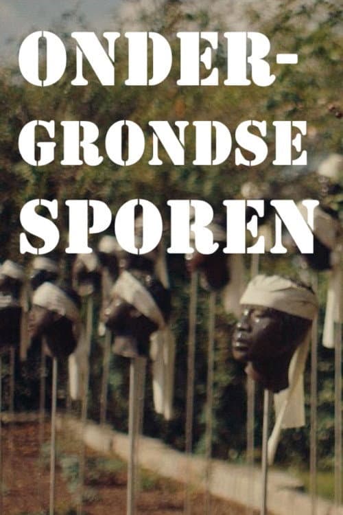 Ondergrondse Sporen Season 1 poster