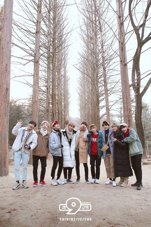 Stray Kids: The 9th Season 4 poster