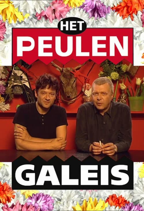 Het Peulengaleis Season 2 poster
