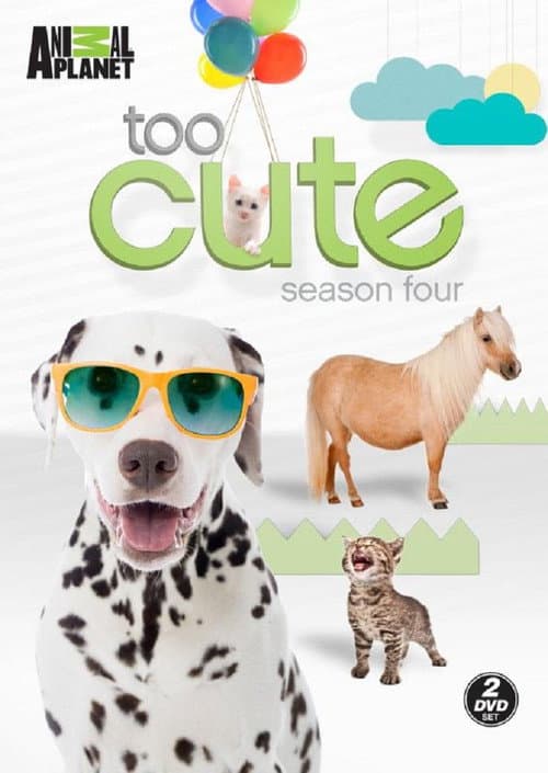 Too Cute Season 4 poster