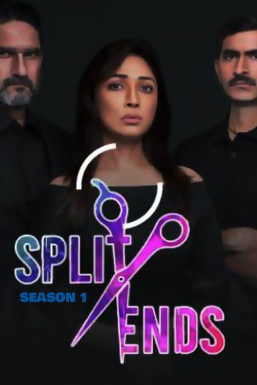 Split Ends Season 1 poster