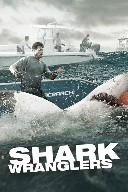 Shark Wranglers Season 1 poster