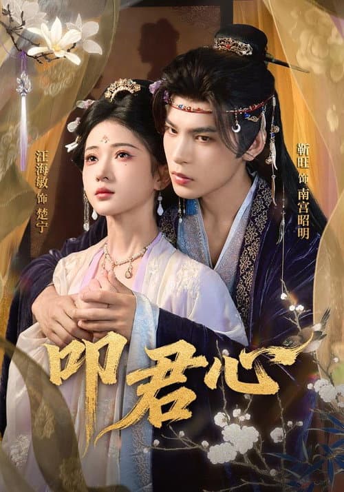 叩君心 Season 1 poster