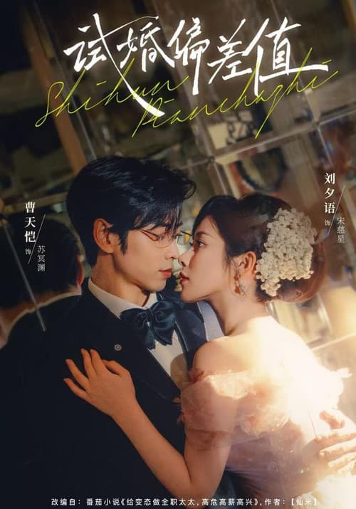 试婚偏差值 Season 1 poster