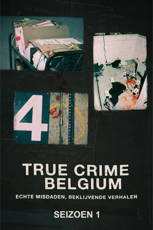 True Crime Belgium Season 1 poster