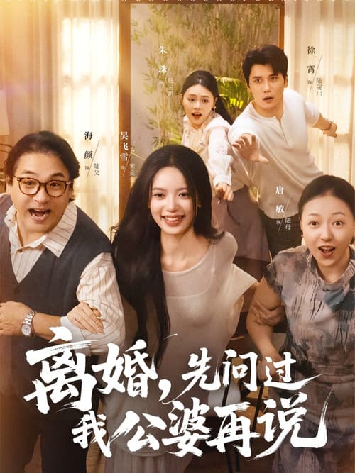 离婚，先问过我公婆再说 Season 1 poster