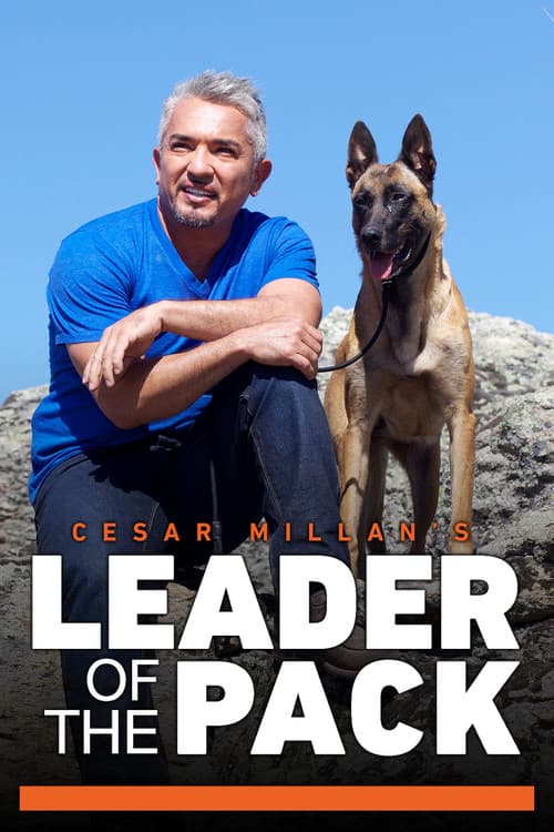 Cesar Millan's Leader of the Pack Season 1 poster