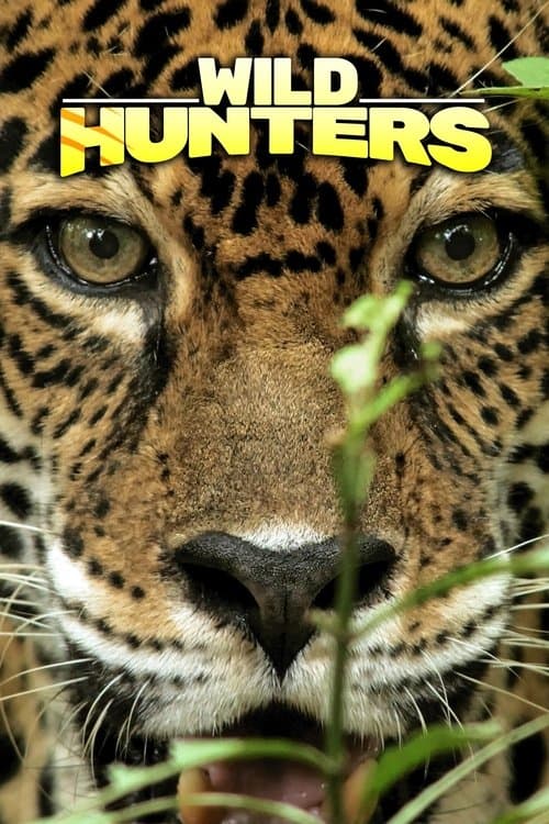 Wild Hunters Season 1 poster