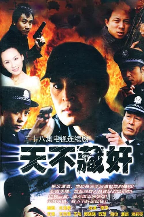 天不藏奸 Season 1 poster
