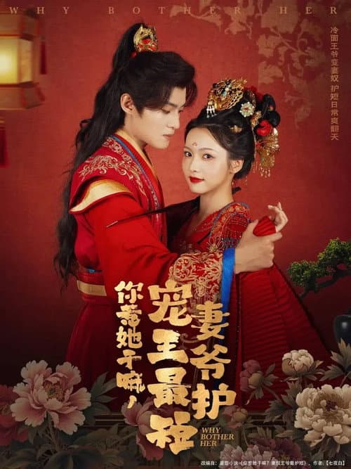你惹她干嘛，宠妻王爷最护短 Season 1 poster