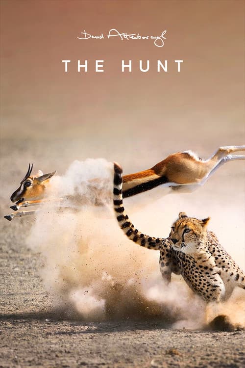The Hunt Miniseries poster