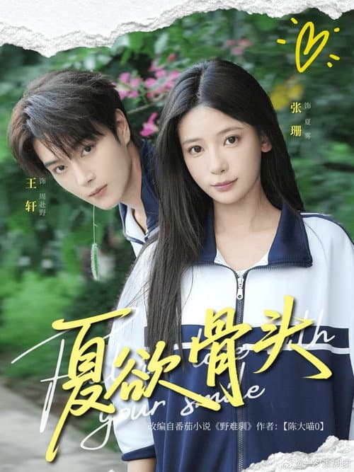 夏欲骨头 Season 1 poster