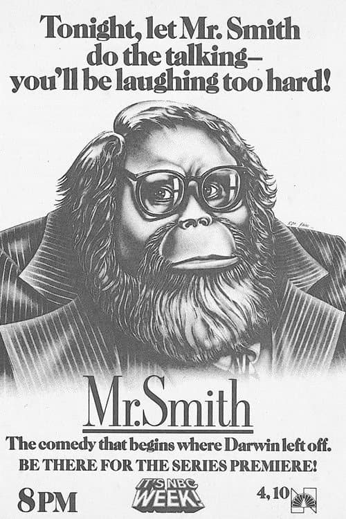 Mr. Smith Season 1 poster