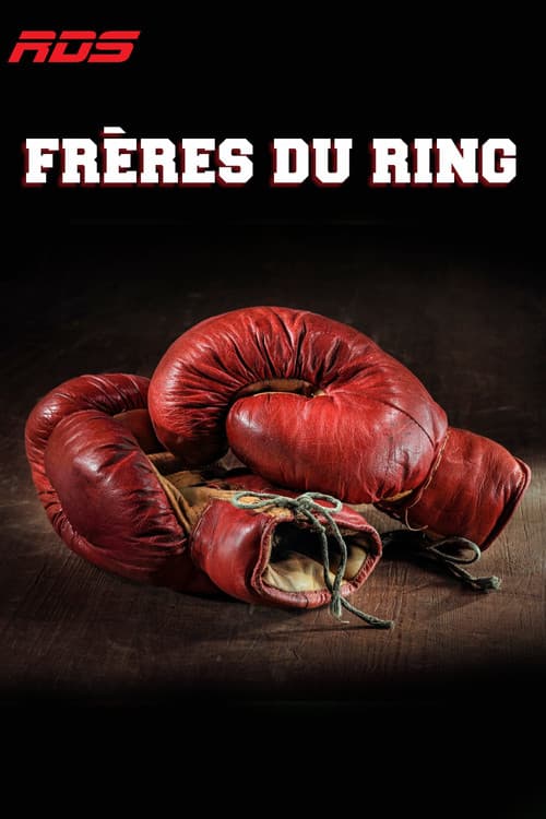 25 ans d’émotions Season 1 poster