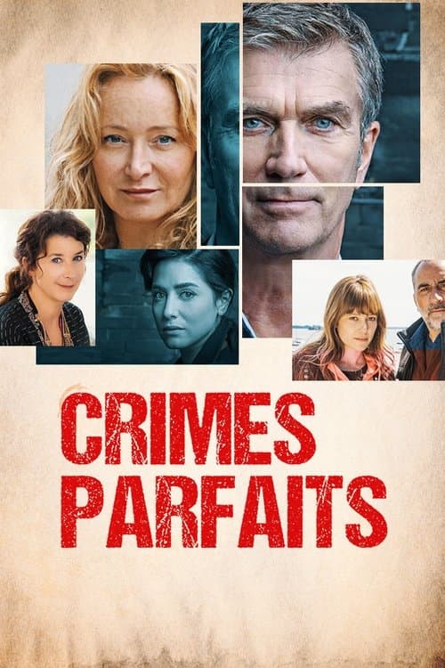 Crimes parfaits Season 3 poster