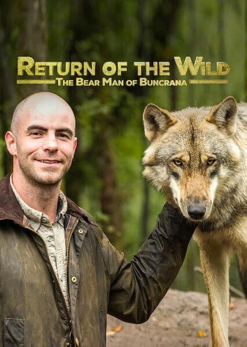 Return of the Wild: The Bearman of Buncrana Season 1 poster