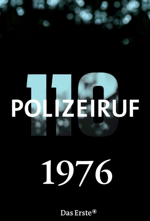 Polizeiruf 110 Season 6 poster