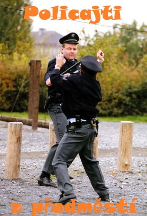 Policajti z předměstí Season 1 poster