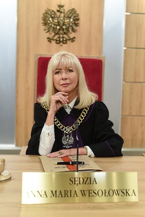 Sędzia Anna Maria Wesołowska Season 2 poster