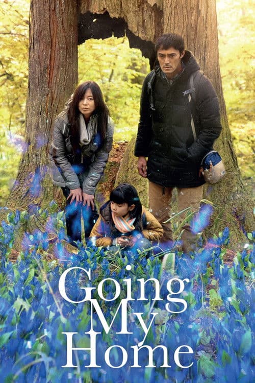 Going My Home Miniseries poster
