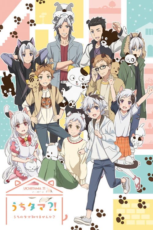 Uchitama?! Have You Seen My Tama? Season 1 poster