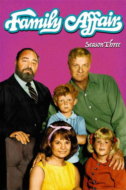 Family Affair Season 3 poster