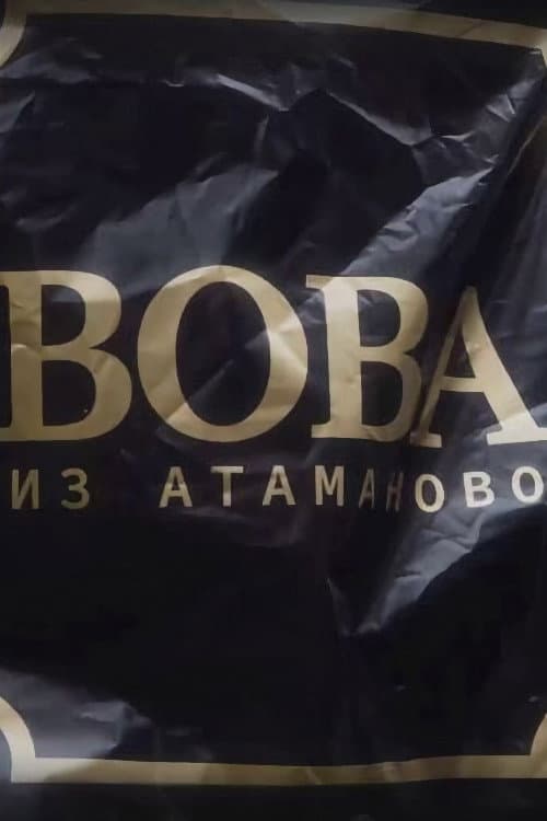 Вова из Атаманово Season 2 poster