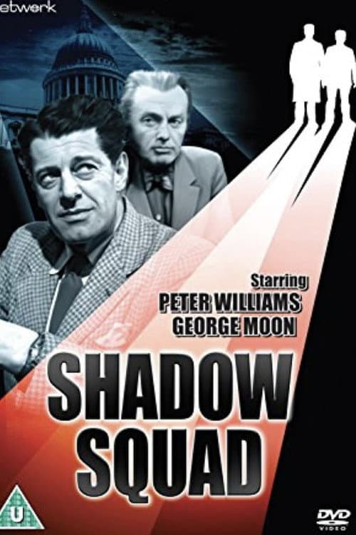Shadow Squad Season 2 poster
