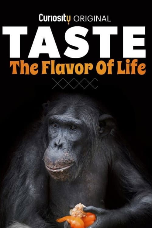 Taste: The Flavor of Life Season 1 poster
