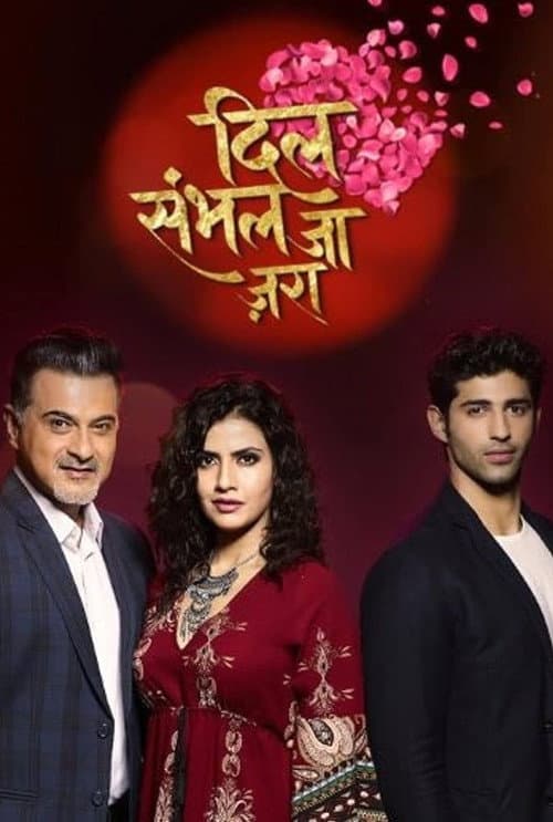Dil Sambhal Jaa Zara Season 2017 poster