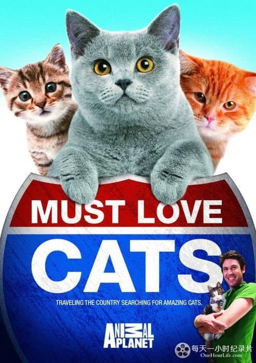 Animal Planet: Must Love Cats Season 2 poster